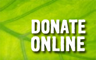 donate-online-button